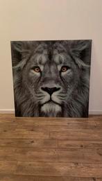 Leeuw op glasplaat 80x80, Ophalen, Zo goed als nieuw, Schilderij, 75 tot 100 cm