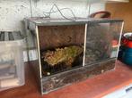 Terrarium Lengte60 Diepte40 hoogte40, Dieren en Toebehoren, Ophalen of Verzenden