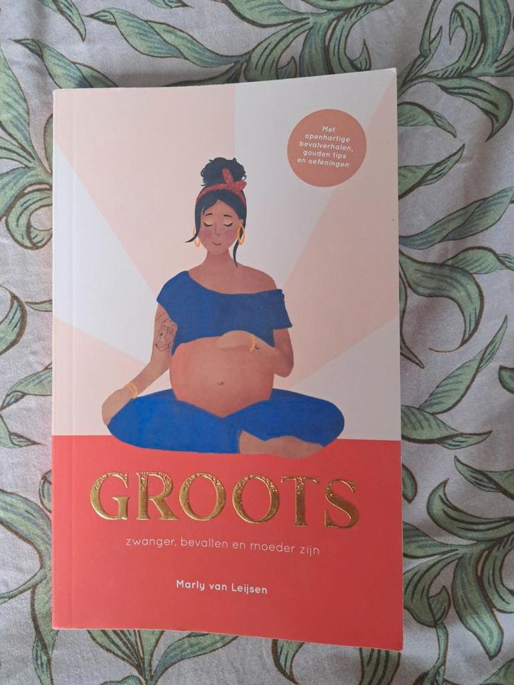 Groots: Zwanger, bevallen en moeder zijn - Marly van Leijsen, Boeken, Zwangerschap en Opvoeding, Nieuw, Zwangerschap en Bevalling