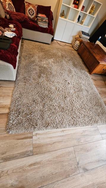 Taupe vloerkleed - Zacht en comfortabel! 3x2m beschikbaar voor biedingen