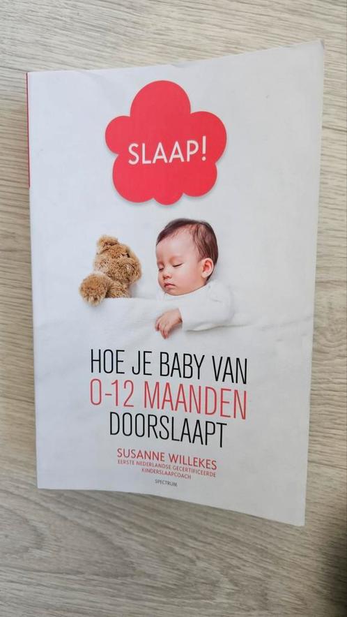 Susanne Willekes - Slaap!, Boeken, Zwangerschap en Opvoeding, Zo goed als nieuw, Ophalen of Verzenden