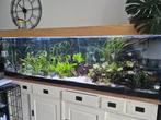 Aquarium 200x60x50 with full equipment, Dieren en Toebehoren, Vissen | Aquaria en Toebehoren, Ophalen, Gebruikt, Leeg aquarium