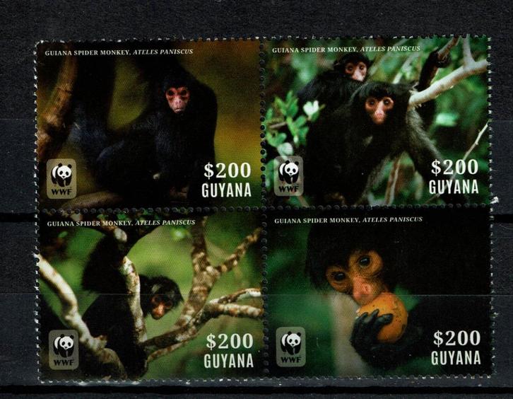 guyana 2014 pf wwf serie apen monkey's zoogdieren wildlife, Postzegels en Munten, Postzegels | Thematische zegels, Postfris, Dier of Natuur