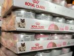 Royal canin mother and babycat pate, mousse voor kittens, Ophalen of Verzenden, Kat