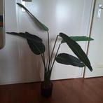 Kunstplant "Strelitia", Huis en Inrichting, Woonaccessoires | Kunstplanten en Kunstbloemen, Ophalen, Zo goed als nieuw