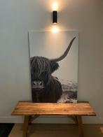 Schotse hooglander canvas schilderij, Huis en Inrichting, Woonaccessoires | Schilderijen, Tekeningen en Foto's, Ophalen, Zo goed als nieuw