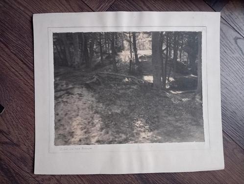 Piet Pijnenburg - Zon in het Bosch, Antiek en Kunst, Kunst | Tekeningen en Foto's, Ophalen of Verzenden