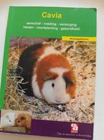 De cavia, Boeken, Ophalen of Verzenden, Zo goed als nieuw