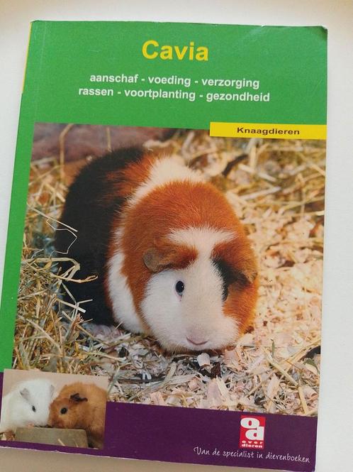 De cavia, Boeken, Dieren en Huisdieren, Zo goed als nieuw, Ophalen of Verzenden