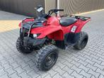 Yamaha Grizzly 300 Quad