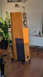 Audio Physic Virgo 25 !!, Audio, Tv en Foto, Luidsprekers, Zo goed als nieuw, 60 tot 120 watt, Front, Rear of Stereo speakers