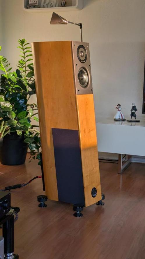 Audio Physic Virgo 25 (jubileum uitvoering) 2350,=, Audio, Tv en Foto, Luidsprekers, Zo goed als nieuw, Front, Rear of Stereo speakers