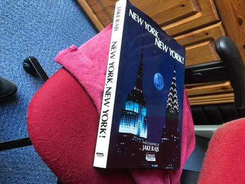 New York, groot formaat, Franstalig!, Boeken, Kunst en Cultuur | Beeldend, Zo goed als nieuw, Overige onderwerpen, Ophalen of Verzenden