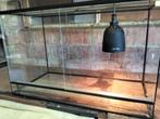 Terrarium 80x41x51, Dieren en Toebehoren, Ophalen, Gebruikt, Terrarium of Paludarium