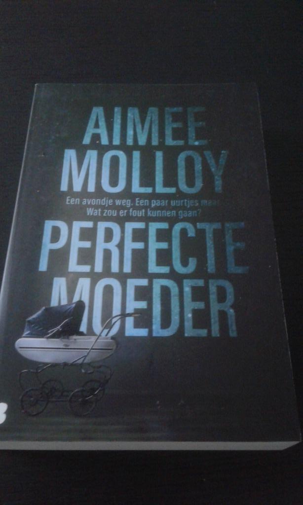 Perfecte moeder - Aimee Molloy, Boeken, Thrillers, Zo goed als nieuw, Amerika, Ophalen of Verzenden