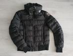 Parajumpers winter jack jas dons gevoerd XS zwart, Zwart, Zo goed als nieuw, Maat 34 (XS) of kleiner, Parajumpers