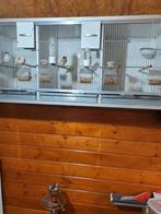 Kooien van vogels, Dieren en Toebehoren, Ophalen of Verzenden, Zo goed als nieuw, Hout, Vogelkooi