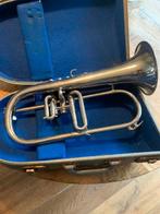 Bugel, speelt prima, geheel nagezien, Ophalen, Gebruikt, Koperblazer, Met koffer of draagtas