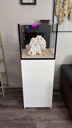 Red Sea Desktop Peninsula + meubel (set), geen verzending, Dieren en Toebehoren, Vissen | Aquaria en Toebehoren, Verzenden, Gebruikt