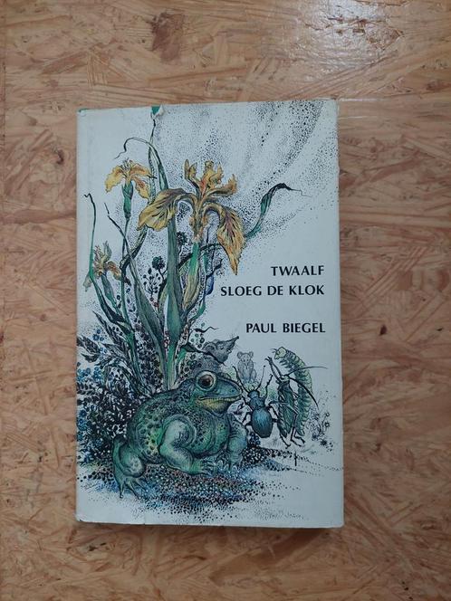 Eerste druk MISDRUK ZELDZAAM P. Biegel Twaalf sloeg de klok, Boeken, Sprookjes en Fabels, Zo goed als nieuw, Ophalen of Verzenden