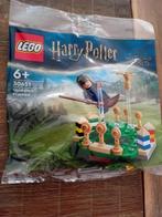 LEGO 30651 Harry Potter Zwerkbal Training Polybag [NIEUW], Nieuw, Complete set, Ophalen of Verzenden, Lego