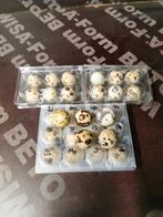 Japanse kwartel eieren, Dieren en Toebehoren, Kip, Geslacht onbekend