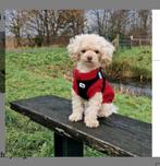 Trixie Trui Kenton Rood honden trui hondentrui, Ophalen of Verzenden, Nieuw, Hondentrui