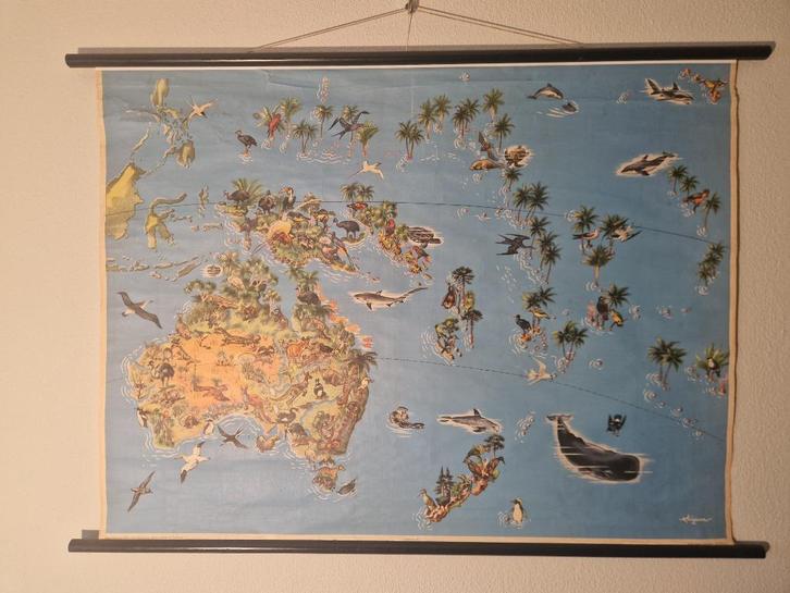 Vintage Schoolkaart Australië, Georg Westermann jaren 1950, Antiek en Kunst, Antiek | Schoolplaten, Natuur en Biologie, Ophalen of Verzenden