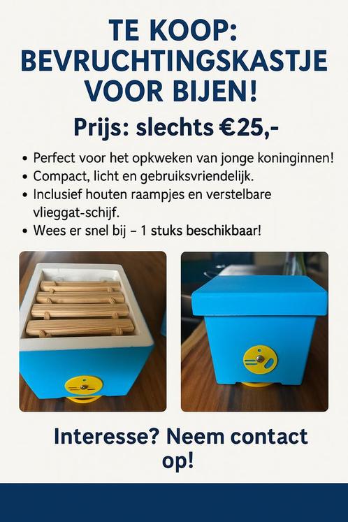 Bevruchtingskastje - bijen LAATSTE, Dieren en Toebehoren, Insecten en Spinnen