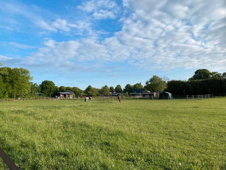 Kleinschalige particuliere opfokplek beschikbaar, Dieren en Toebehoren, Stalling en Weidegang
