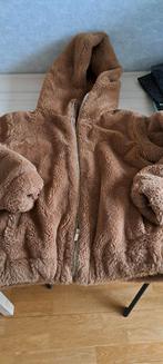 teddy jas maat 176 met 2 kale plekjes bij rits zie foto, Ophalen of Verzenden, Gebruikt, Meisje, Jas