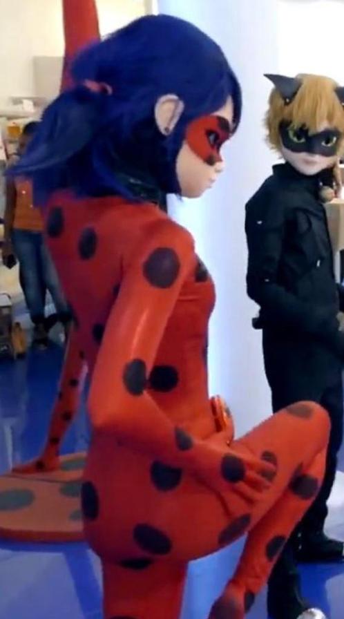 Lady Bug en Cat Noir mascotte inclusief acteur op je feest?, Hobby en Vrije tijd, Feestartikelen | Verhuur, Ophalen of Verzenden