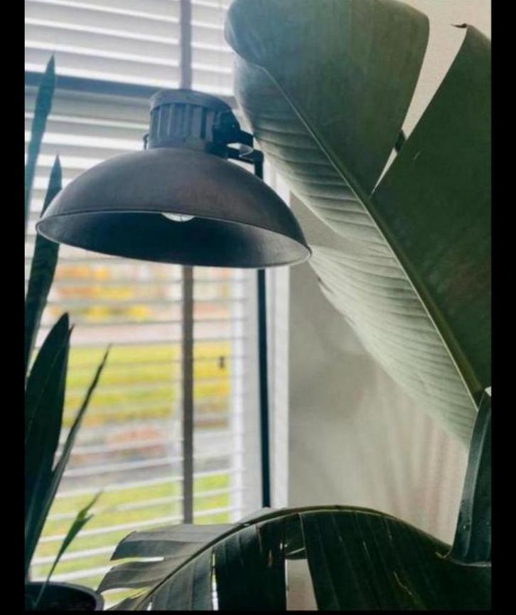 Vloerlamp lamp industrieel zwart metaal, Huis en Inrichting, Lampen | Vloerlampen, Zo goed als nieuw, 150 tot 200 cm, Metaal, Ophalen