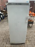 diepvrieskasten, Witgoed en Apparatuur, Vriezers en Diepvrieskisten, Gebruikt, Minder dan 60 cm, 160 cm of meer, Vrijstaand
