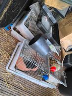 4x labbak muizen + waterfles, Kooi, Gebruikt, Minder dan 75 cm, Muis