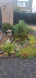 Complete vijver, Tuin en Terras, Ophalen, Gebruikt