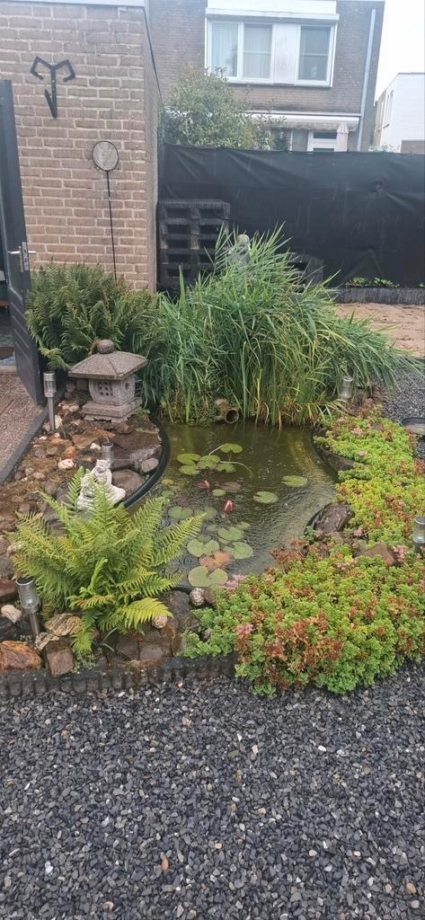 Complete vijver, Tuin en Terras, Vijvers, Gebruikt, Ophalen