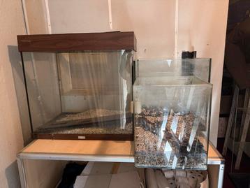 Aquarium + toebehoren beschikbaar voor biedingen