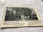 Oude ansichtkaart Brinklaan Apeldoorn, Ophalen of Verzenden, Voor 1920, Gelopen, Gelderland