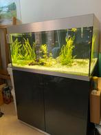 Compleet Oase highline 200 aquarium + toebhoren, Dieren en Toebehoren, Vissen | Aquaria en Toebehoren, Ophalen, Gebruikt, Leeg aquarium