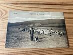 Ansichtkaart Goslar, herder met geiten am steinberg, Verzamelen, Ophalen of Verzenden, Duitsland