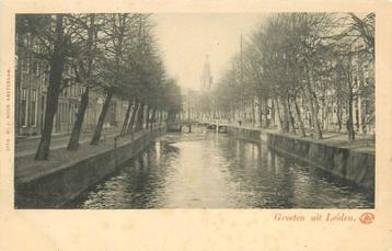 (701-342-005) Leiden beschikbaar voor biedingen