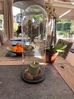 Glazen Stolp Mica - Stijlvolle Woonaccessoire, Huis en Inrichting, Woonaccessoires | Stolpen, Ophalen, Zo goed als nieuw