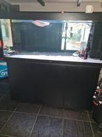 Juwel rio 450 als nieuw!, Ophalen, Leeg aquarium