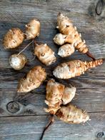 Aardperen voor consumptie en/of broedknol, Ophalen of Verzenden