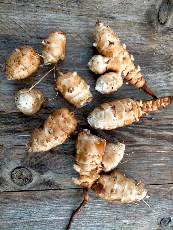 Aardperen voor consumptie en/of broedknol, Diversen, Levensmiddelen, Ophalen of Verzenden