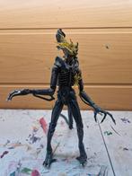 Alien warrior  battle damage neca, Ophalen of Verzenden, Gebruikt, Film, Actiefiguur of Pop