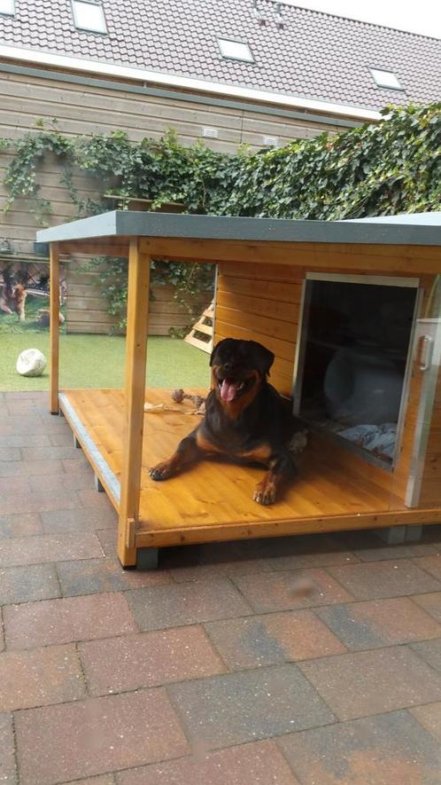 Honden Buitenhok- Handgemaakt-*200 x  200 cm OPHALEN, Dieren en Toebehoren, Hondenhokken, Gebruikt, Hondenhok, 100 cm of meer