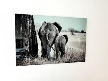 Glazen schilderij Foto olifanten 120x80cm beschikbaar voor biedingen