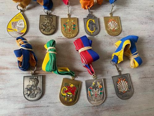 carnavalsmedailles, Kleding | Heren, Carnavalskleding en Feestkleding, Gedragen, Accessoires, Carnaval, Ophalen